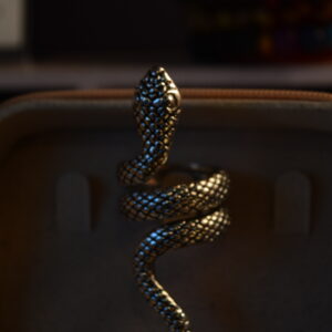 Anillo Hecate de serpiente