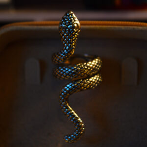 Anillo Hecate de serpiente